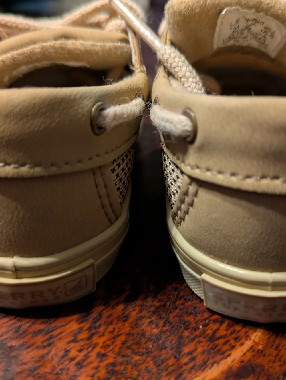 Sperry Intrepid Leather Shoe 1m